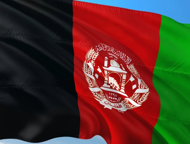 阿富汗海关数据查询平台（附免费试用查询）